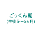 ごっくん期(生後5～6ヵ月)