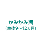 かみかみ期(生後9～12ヵ月)