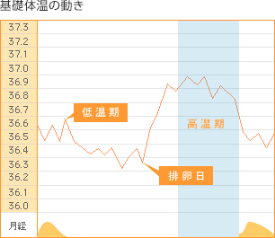 基礎体温の動き