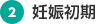 2.妊娠初期
