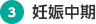 3.妊娠中期